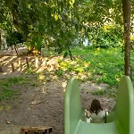 Tamaca Nature Çiftlik konaklama *